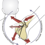 Scapular Dyskinesia